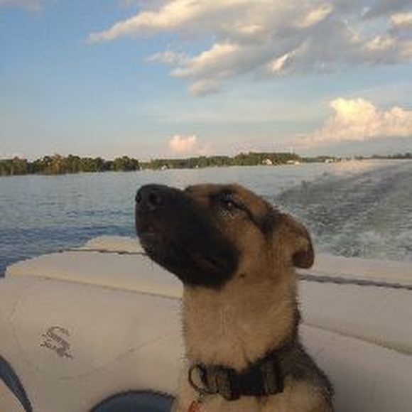 Meet your Posher, John - Picture 1 of 1